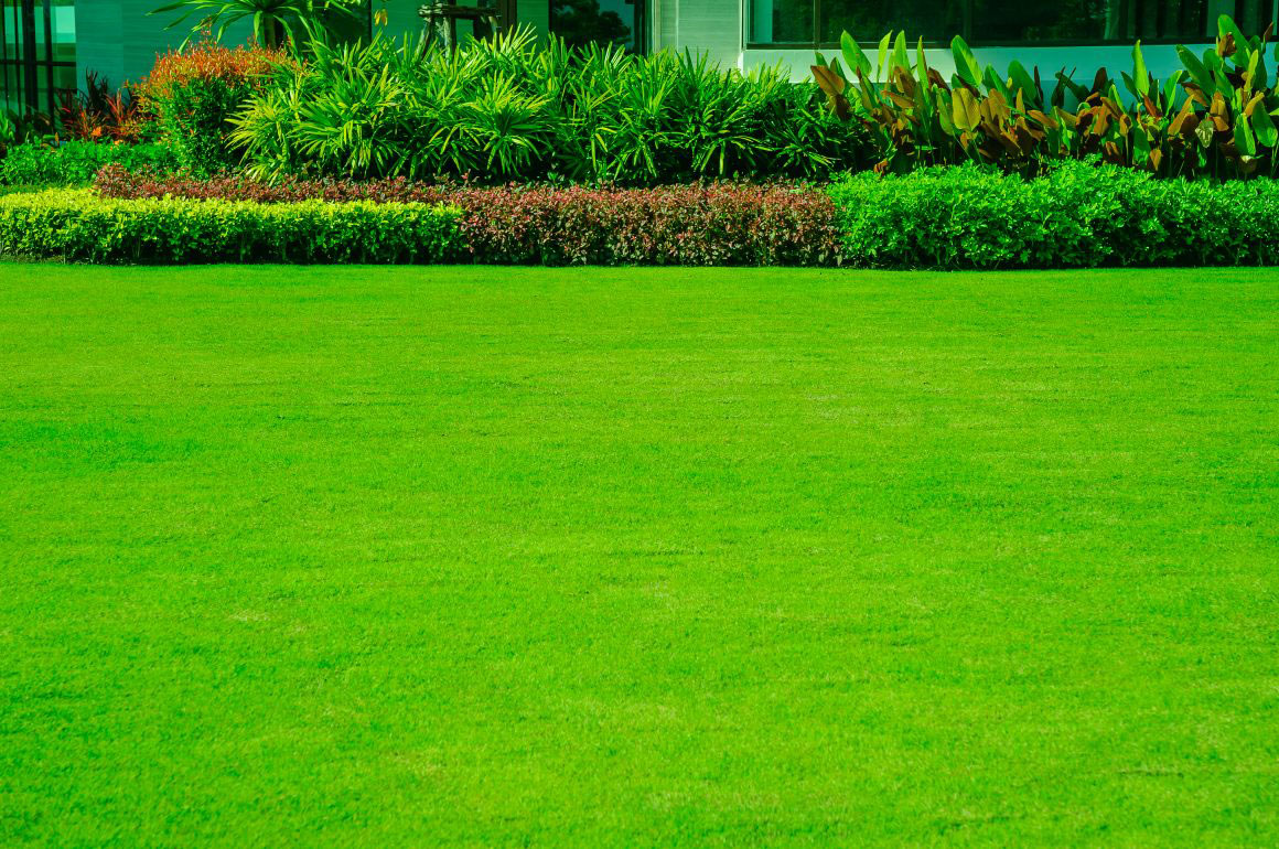How To Identify The Best Natural Grass Manufacturer